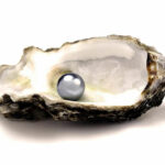 ЖЕМЧУГ. «Слезы ангелов»